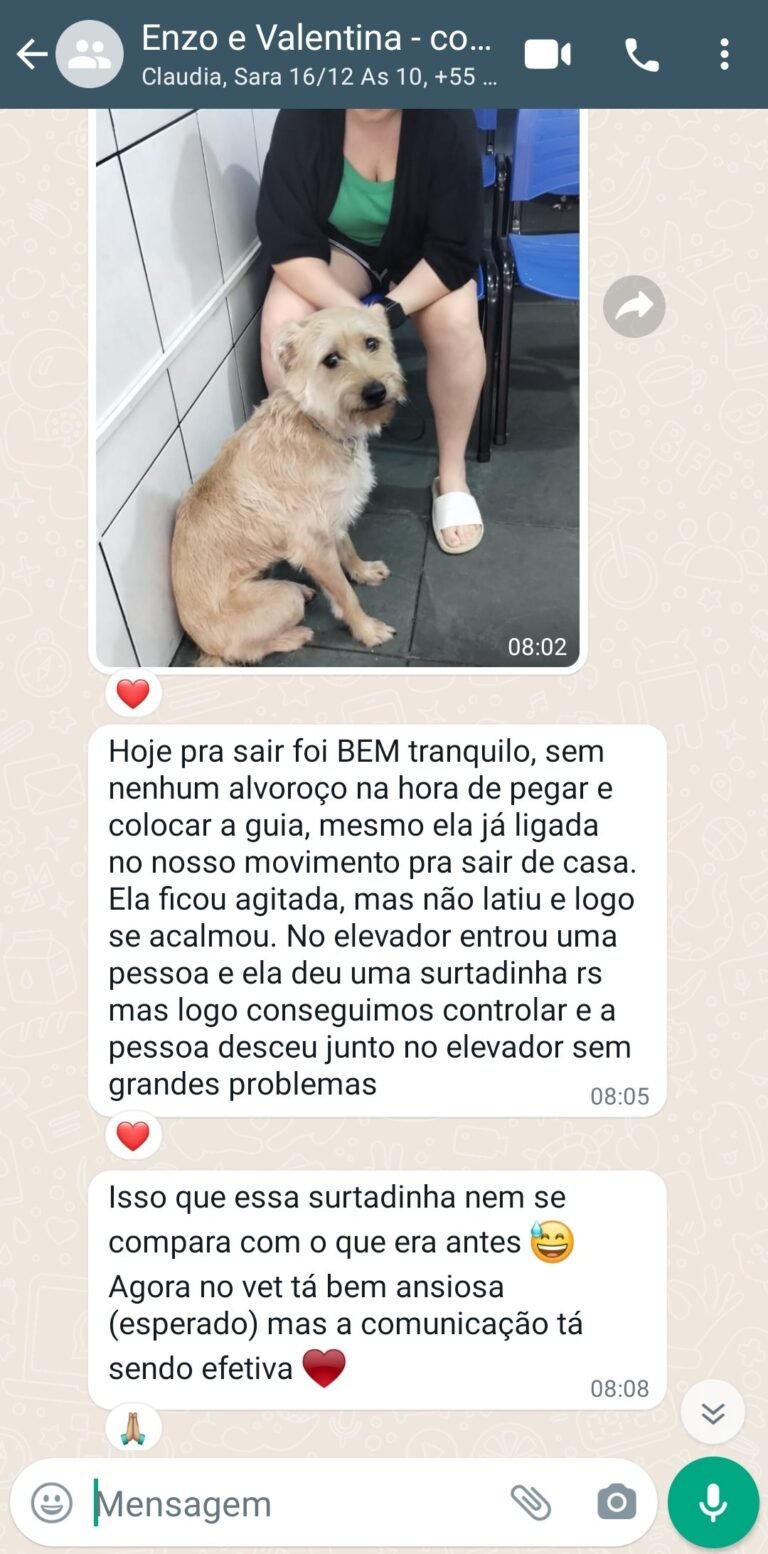Cliente está feliz com o resultado da adestramento comportamental no ABC