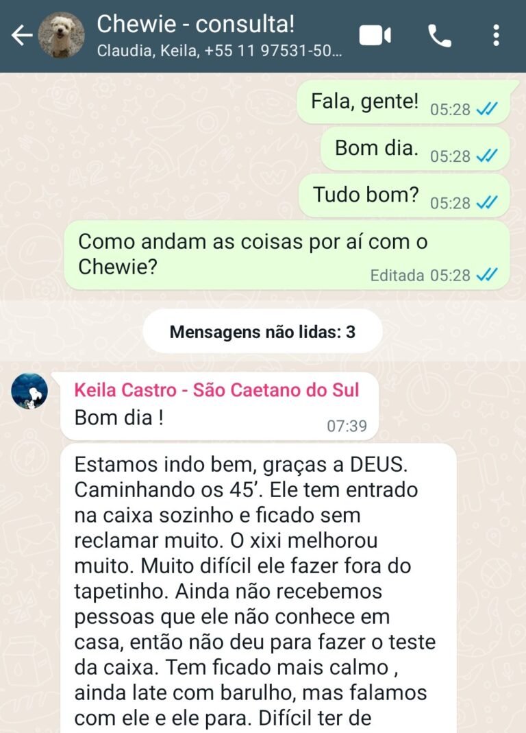 Problemas do Chewie resolvidos após a Consulta Comportamental para Cães em SP e ABC.