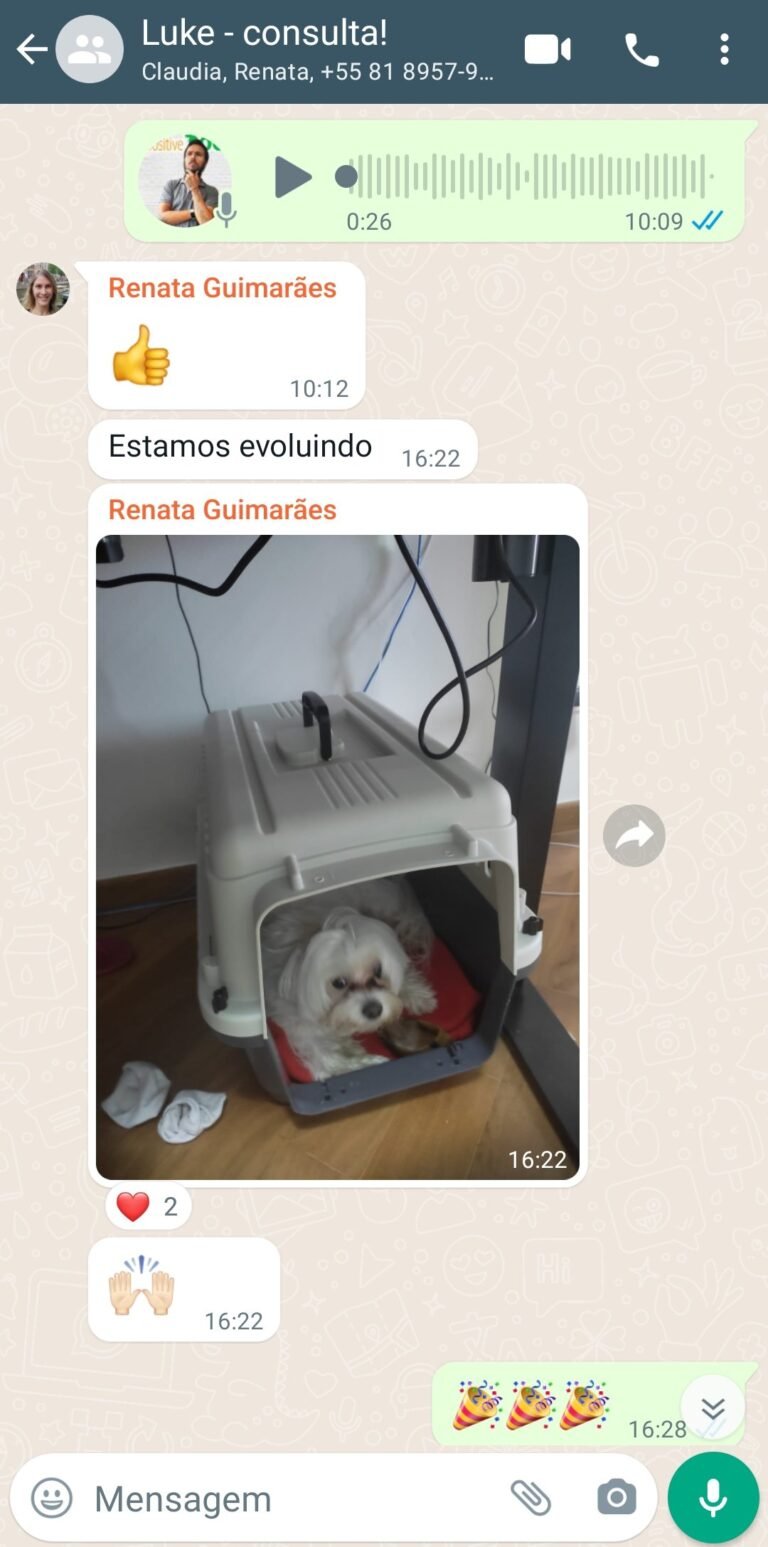 Cachorro parou de morder após a adestrador comportamental para Cães em Moema SP