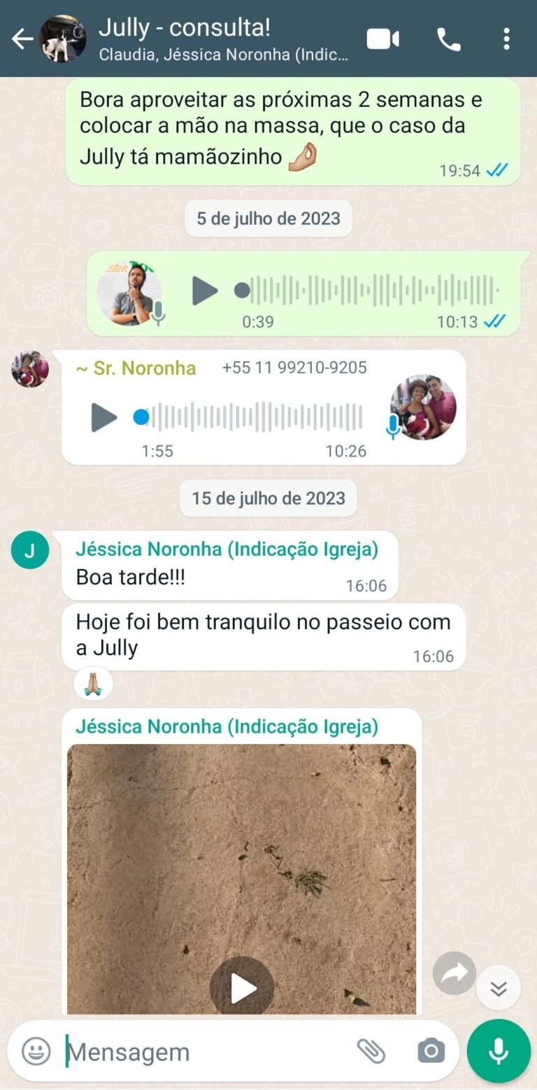 Cão ficou mais educado e melhorou o passeio após a Consulta Comportamental para Cães da Positive Dog.