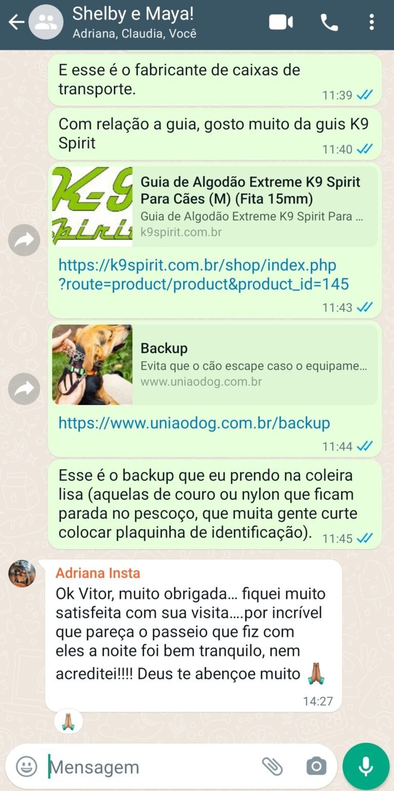 Cliente está muito satisfeita com a melhora dos cães após a consulta comportamental para cães em SP e ABC Positive Dog.