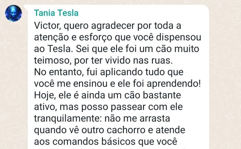 Cão parou de puxar e arrastar a dona após adestramento comportamental em SP