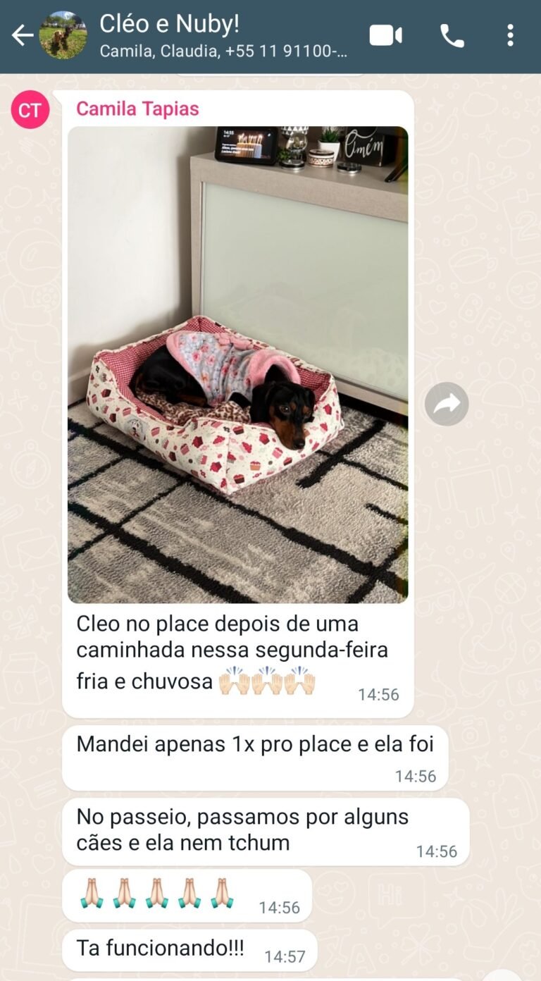 Cachorro agressivo melhorou após adestrador da Positive Dog realizar Consulta.