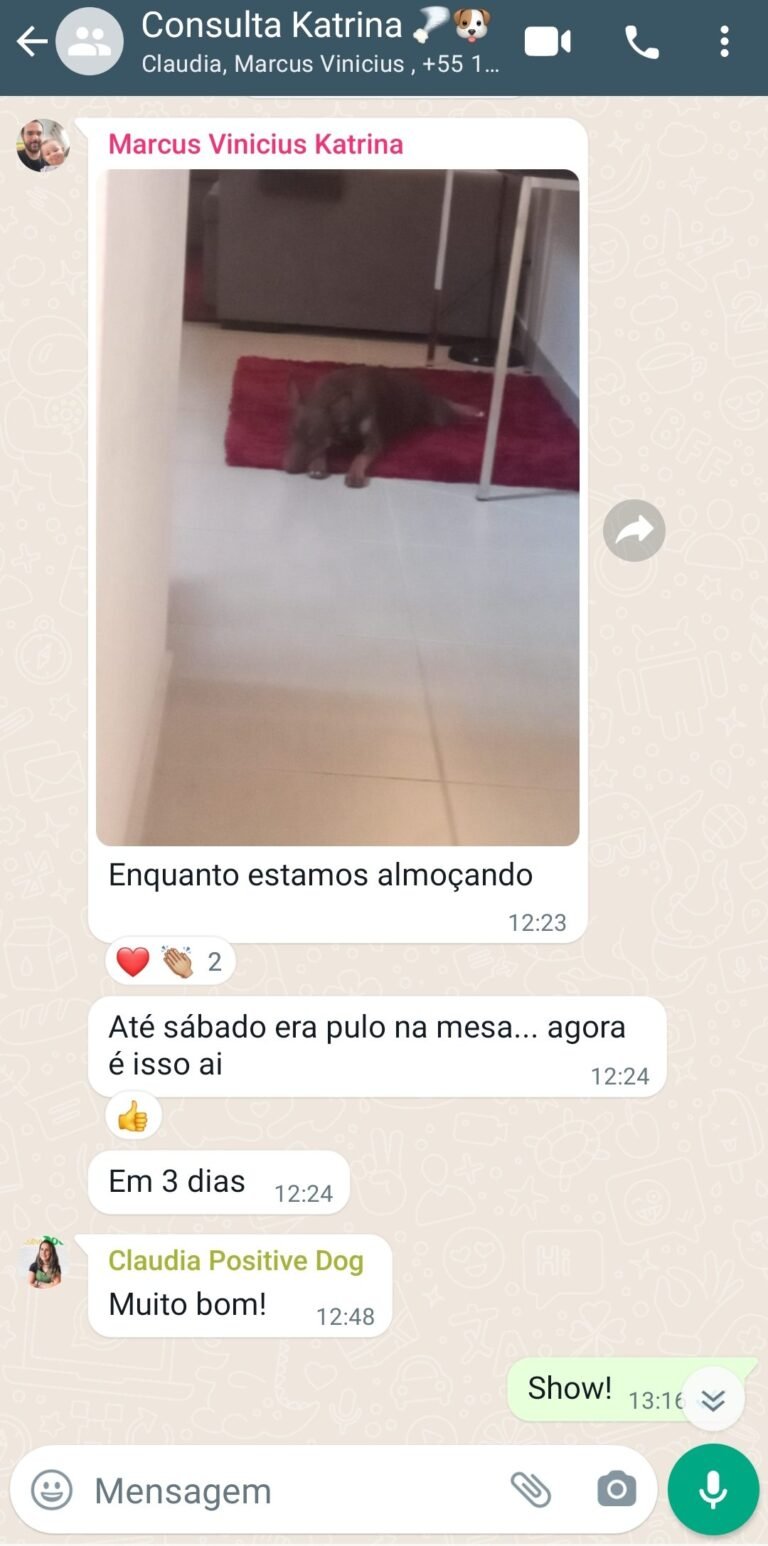 Após consulta comportamental o cão parou de roubar comida da mesa.