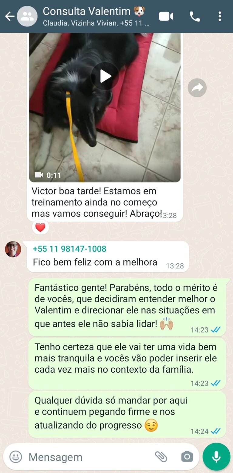 Cliente está feliz com a melhora no comportamento após a Consulta Comportamental para Cães em SP e ABC Adestrador de cães ABC